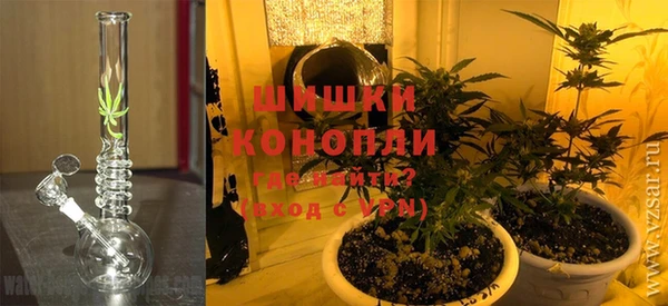 бошки Алексин
