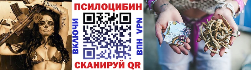 Псилоцибиновые грибы прущие грибы  где можно купить   Олонец 